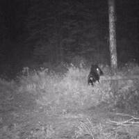 Pounds Up (M.O.P) by OysterCT