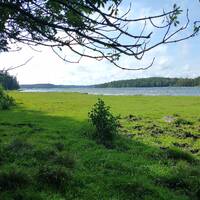 Septembersynkoper by Flajšer