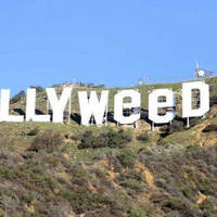 420 Dub Mix 1 by Aunt B