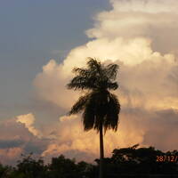Marcha para Libertad by Hans Krauß
