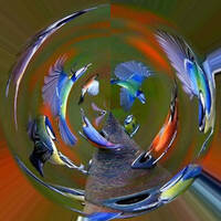 Nikwanikès by Gérard Delassus