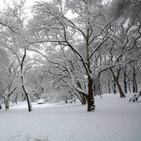 Snowfall (A Non-Commercial Christmas Mix) by Aunt B