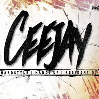 Electro Summermix presented by Ceejay by Ceejay