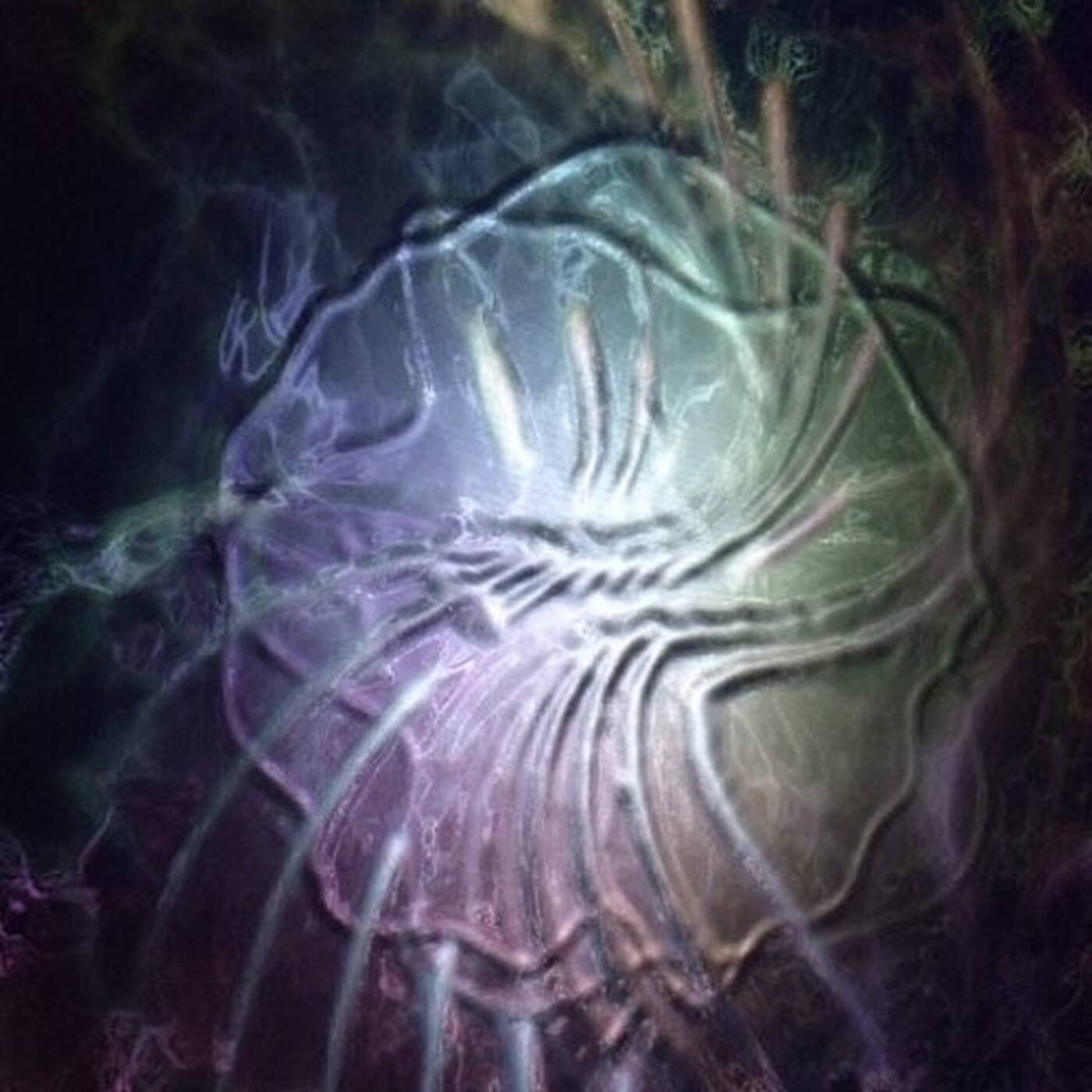 Agi Drougas - @Inexplicable episode artwork
