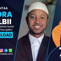 RNH 766, November 28, 2022 Soora Qalbii by NHStudio