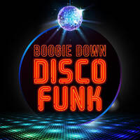 Disco Funky Fever by Disco Internet