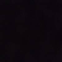 The Bear, The Fruitfly, The Monkey &amp; The Orange Barrel by nestingforsaragesturingatsame