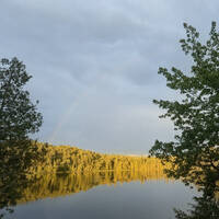 Trees and Space by Mental Floss
