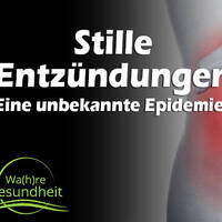 Stille Entzündungen - Eine unbekannte Epidemie? by NuoFlix