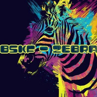 BSKF - ZEBRA (Original Mix) by BSKFmusic