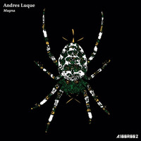 Andres Luque - Like This (Original Mix)[DEMO002] by Andrés Luque