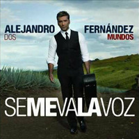 A. F. - Se Me Va La Voz (DjCame  Radio Mix) by Dj C.a.m.e. ( Claudio Skalante )