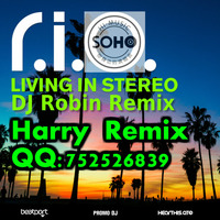 R.I.O.- Living in Stereo vs Narcotic Sound & Christian D Feat.Andreea Banica - Ale (Harry Remix) by Harry