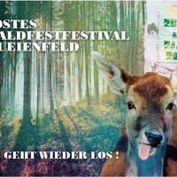 Toni Thorn @ Waldfestfestival 2012 (Part II) by Toni Thorn