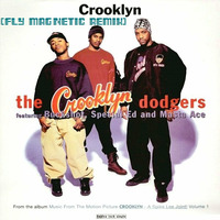 The Crooklyn Dodgers - Crooklyn (Fly Magnetic Remix) by Xylenefree