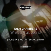 Josh Chambers - What's That Sound (PuRe SX & Mutantbreakz Remix) Out Now On Beatport by Martin Flex
