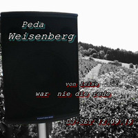 Peda Weisenberg - von leise war nie die rede DJ-SET by Herlock
