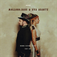 3000Grad035 "MOLLONO.BASS&AVA ASANTE" Birds Flying Hight - Part One E.P.