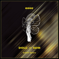 Dole&Kom - Night Room(Jonas Saalbach Remix) - Snippet by 3000GRAD / ACKER RECORDS
