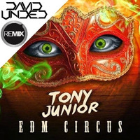 Tony Junior - EDM Circus (DavidUnded Remix) by DavidUnded