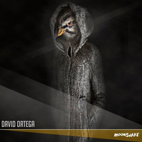 DAVID ORTEGA - BELIEVE - MOONSHAKE RECORDS by DAVID ORTEGA