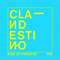 Clandestino 052 - Bird of Paradise by Clandestino