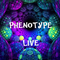 SKOGTROLL CLOSING FESTIVAL - Live Progressive 130 Bpm - by phenotype