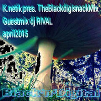 rival - Blackdigisnack Guest Mix April 2015 by rival
