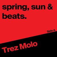 spring, sun &amp; beats Side A by Trez Molo