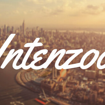 !NTNZ aka Intenzoo