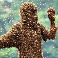 ither lazer24 mai 2012 at GroOvetronic radio show by ItherLazer