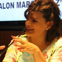 María Inés Zigaran - Ministra ambiente - Creación de GIRSU Sociedad de Estado by UNJu Radio