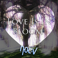 Love Is In Bloom [Free Download] by Noc.V