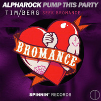 Pump This Bromance (CD Mashup) by DJ CD