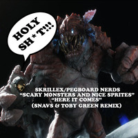 HOLY SH*T! (Skrillex/Pegboard Nerds) EDM Mashup by The Mashup Wyvern