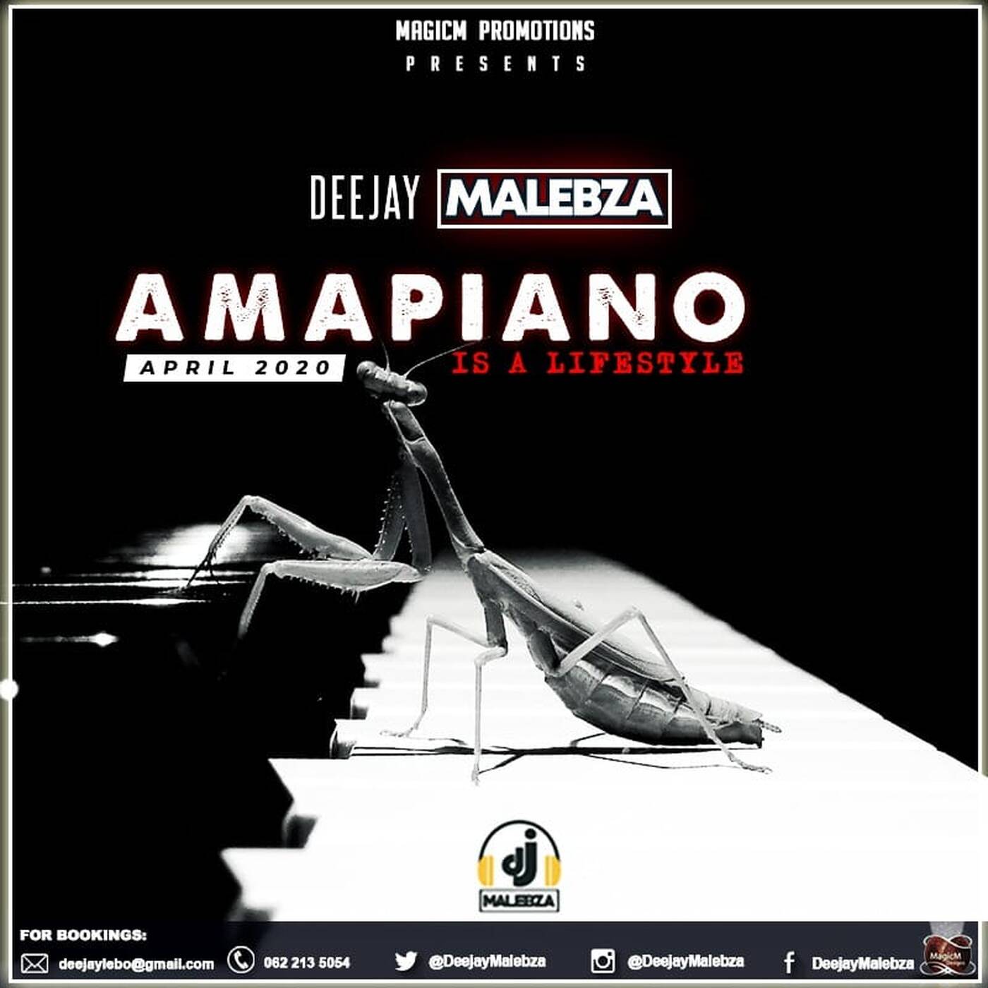 Amapiano Is A LifeStyle (April 2020) episode artwork