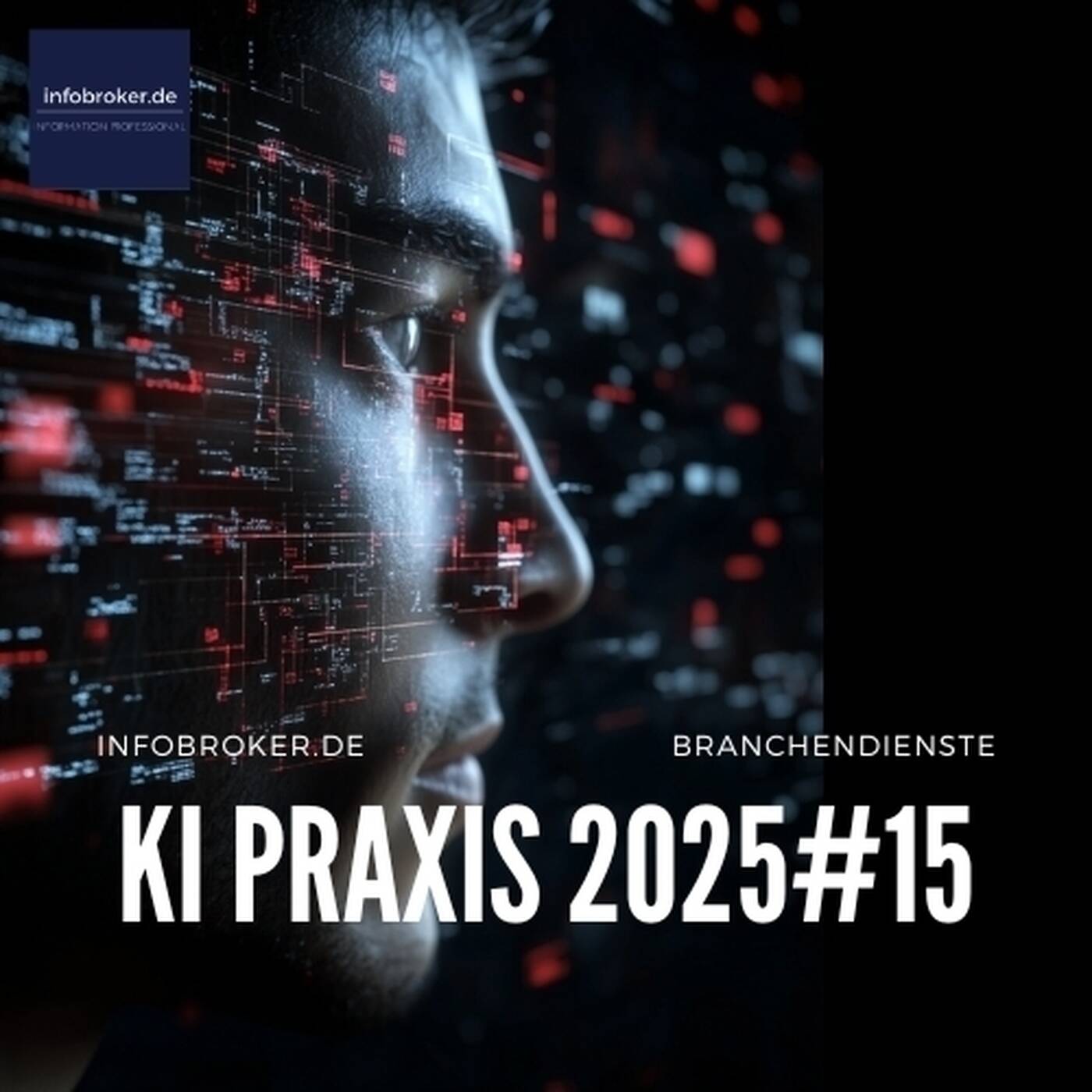 KI Praxis  – 2025#15 – Künstliche Intelligenz in Branchen und Märkten episode artwork
