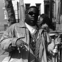 Red Hot Chili Peppers &amp; The Notorious B.I.G - Everyday Struggle/Snow (Hey Oh) (Roshan Fernando Mashup-Edit) by Roshan Fernando