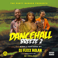 DANCEHALL BREEZE 2 by Dj Flixx_Aolan