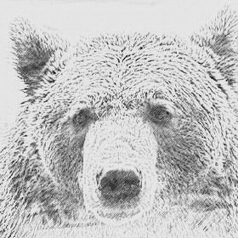 Alex&rsquo; Trainingskiste