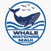 Whale Watching Maui