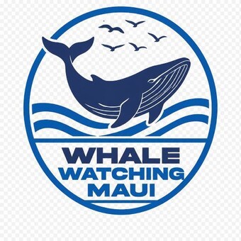 Whale Watching Maui