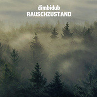 Dimbidub - Rauschzustand (Free Download for Subscribers) by Matthias Springer // Aksutique