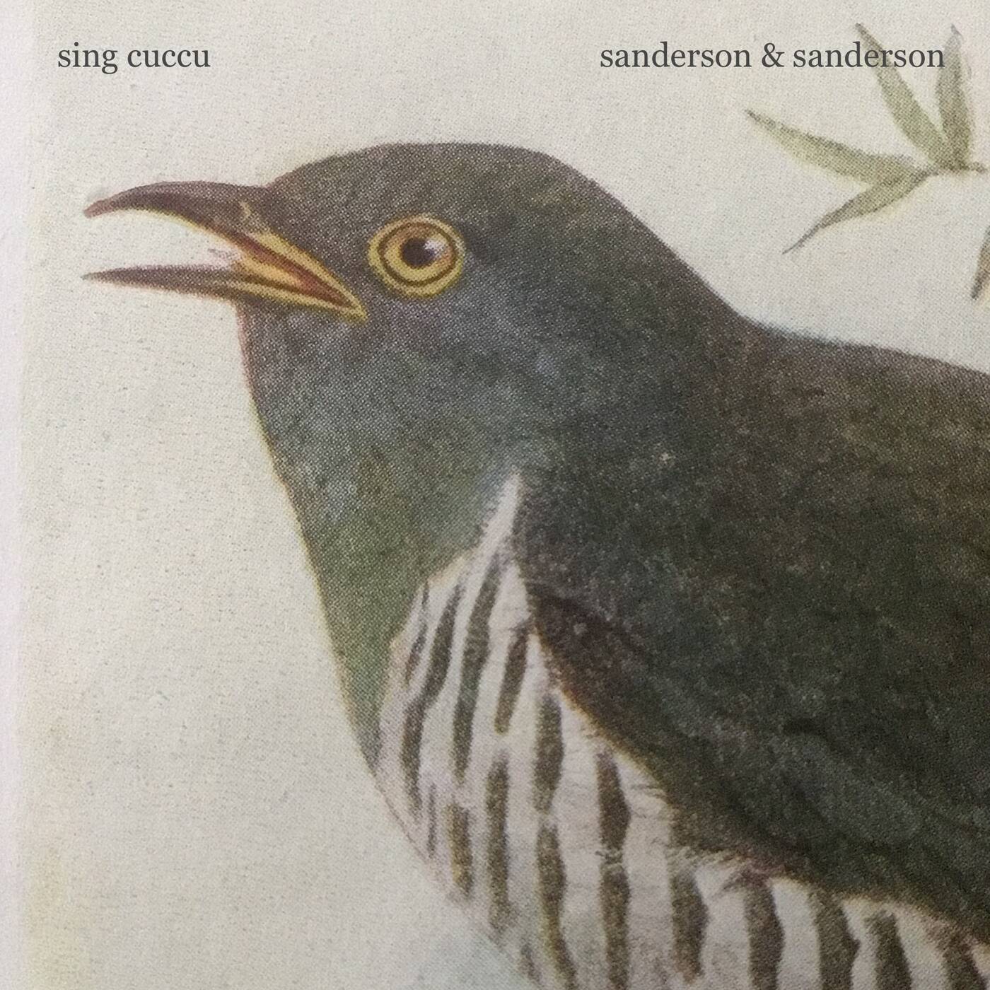 sing cuccu episode artwork