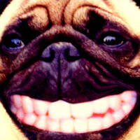 Dr Boo #009 - Crazy People For Wild Music vol.1