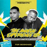 The Angelic Experience Vol.024 by Angelo Noonan