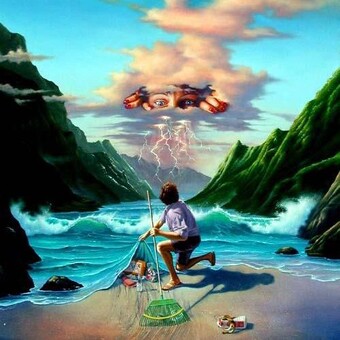 MINDFIELDS