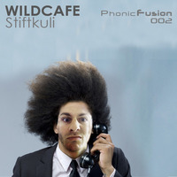Wildcafe - Stiftkuli (Electrified Radio Mix English) by WILDCAFE