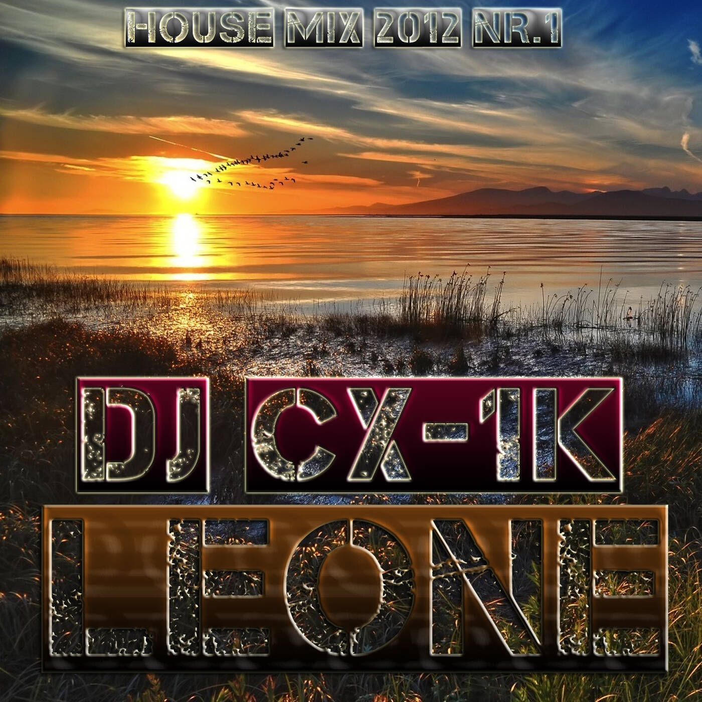 DJ CX-1k - Leone [Electro House Mix 2012 #1]