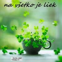 Na v&scaron;etko je liek